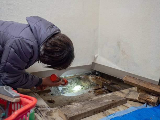 Forensic Mold Investigation