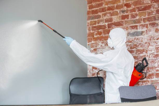 Best Mold Documentation for Insurance Claims  in Rockville, CT