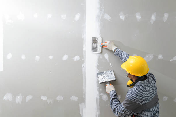 Best Comprehensive Air Testing for Mold Contaminants  in Rockville, CT