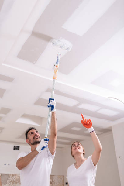 Best Water Damage & Mold Remediation  in Rockville, CT